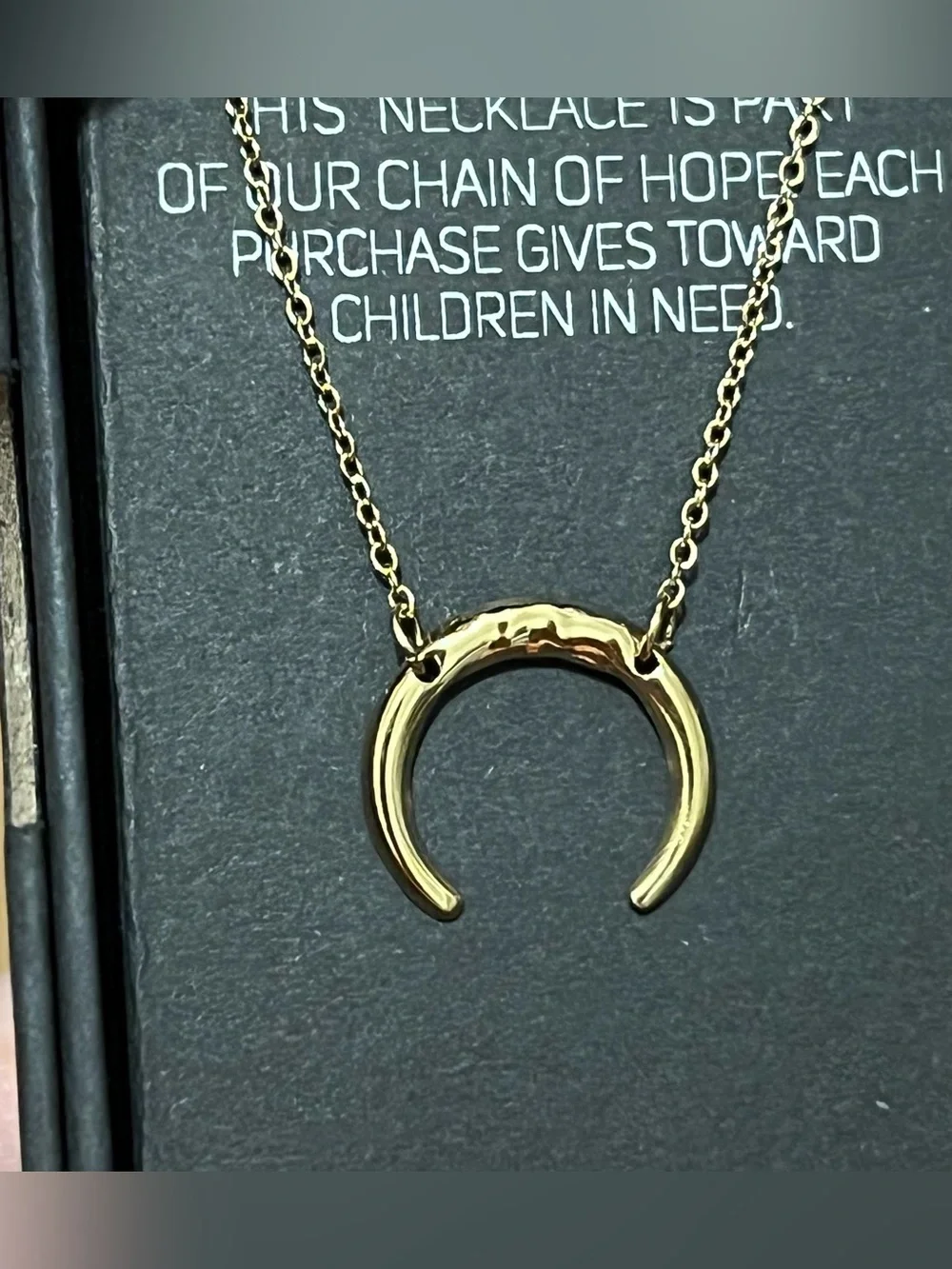Benevolence LA Luna Half Moon Necklace Crescent 14k Gold Plated Double Horn